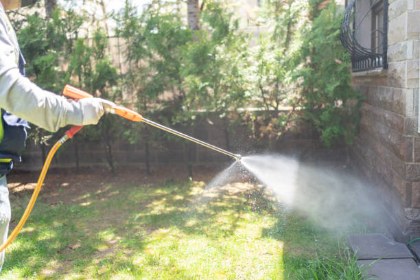 Spider Control Near Me in Rumson, NJ